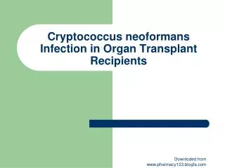 Cryptococcus neoformans Infection in Organ Transplant Recipients