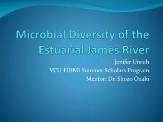 Microbial Diversity of the Estuarial James River