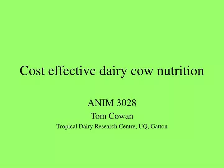 cost effective dairy cow nutrition