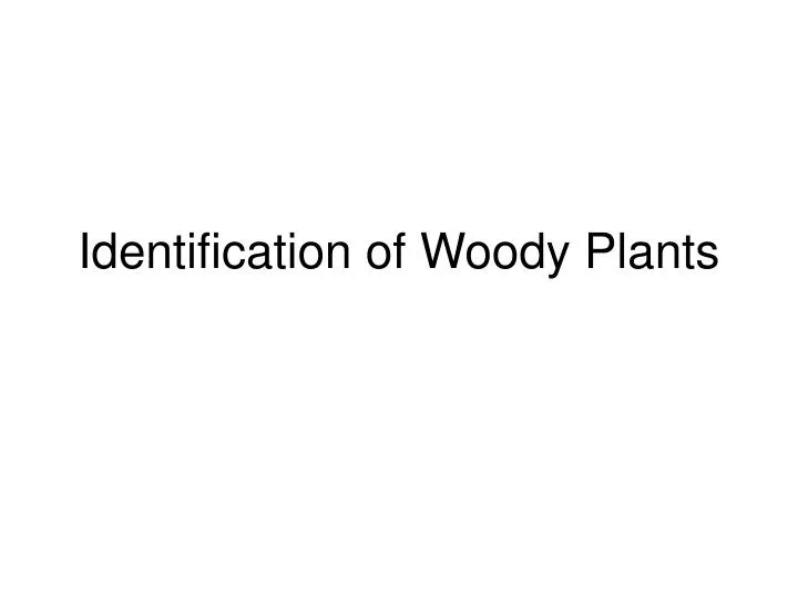 identification of woody plants