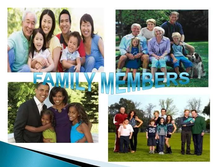PPT - FAMILY MEMBERS PowerPoint Presentation, free download - ID:1727287