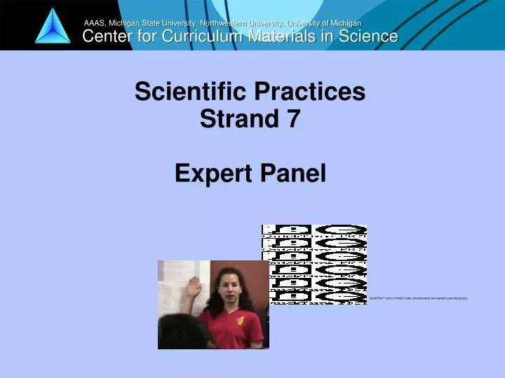 scientific practices strand 7 expert panel