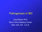 Pathogenesis of IBD - slide 1