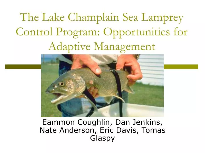 the lake champlain sea lamprey control program opportunities for adaptive management