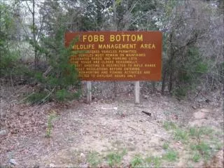 Fobb Bottom entry road through low lying marshy area