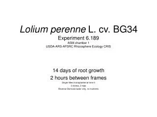 Lolium perenne L. cv. BG34 Experiment 6.189 ASM chamber 1 USDA-ARS-AFSRC Rhizosphere Ecology CRIS