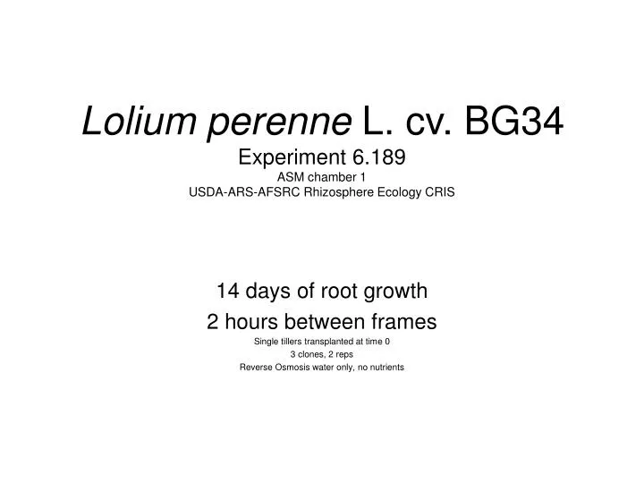 lolium perenne l cv bg34 experiment 6 189 asm chamber 1 usda ars afsrc rhizosphere ecology cris