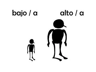 bajo / a			alto / a