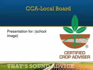 CCA-Local Board