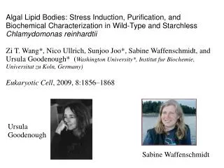 Algal Lipid Bodies: Stress Induction, Purification, and Biochemical Characterization in Wild-Type and Starchless Chlamyd