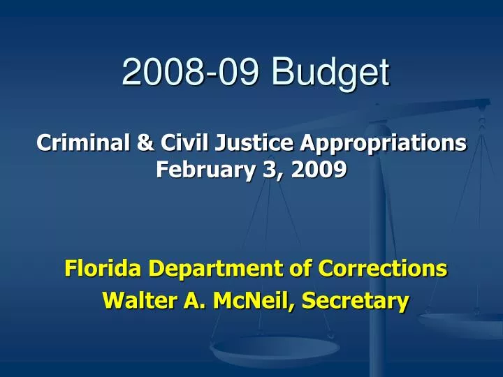 2008 09 budget