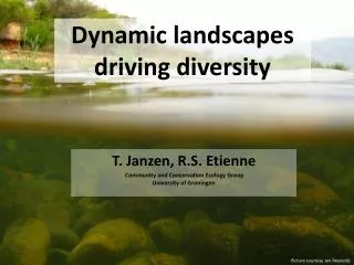 Dynamic landscapes driving diversity