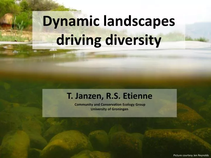 dynamic landscapes driving diversity