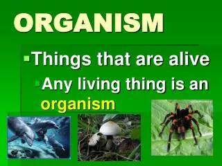 PPT - MANUAL on ALERT ORGANISM SURVEILLANCE PowerPoint Presentation ...