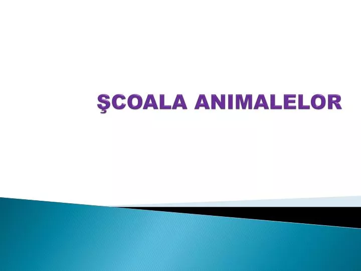 coala animalelor
