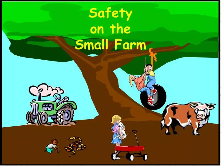 safety on the small farm
