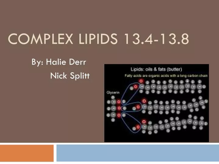 complex lipids 13 4 13 8
