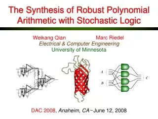 The Synthesis of Robust Polynomial Arithmetic with Stochastic Logic