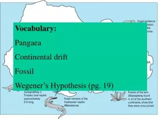 Vocabulary: Pangaea Continental drift Fossil Wegener’s Hypothesis (pg. 19)