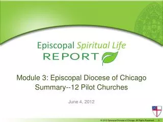 Module 3: Episcopal Diocese of Chicago Summary--12 Pilot Churches