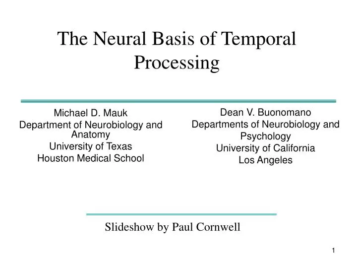 the neural basis of temporal processing