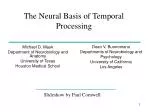 The Neural Basis of Temporal Processing - slide 1