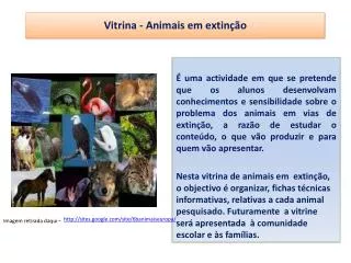 vitrina animais em extin o