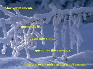 morre lentamente