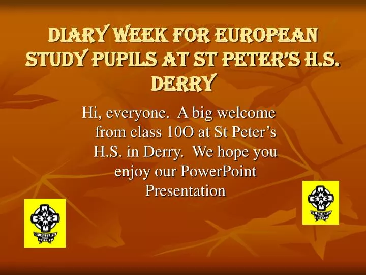 diary week for european study pupils at st peter s h s derry