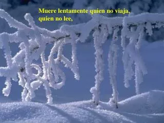muere lentamente quien no viaja quien no lee