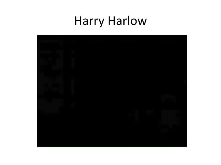 harry harlow