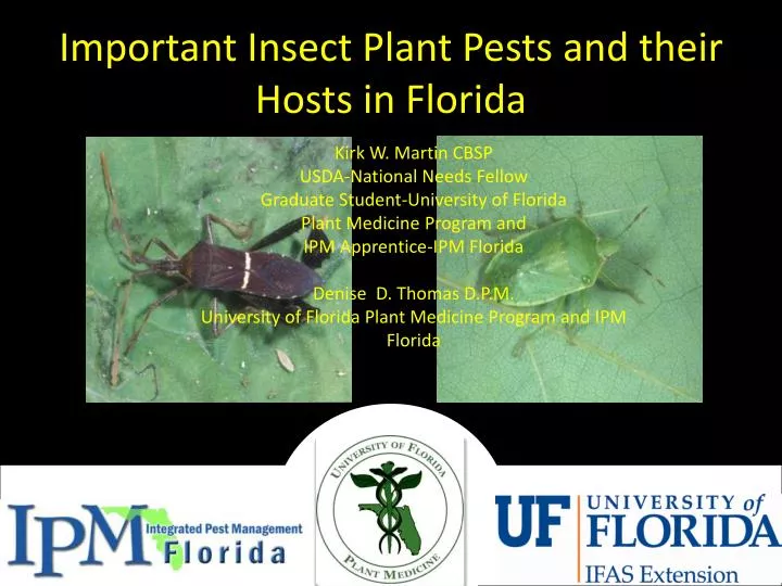 important insect plant pests and their hosts in florida