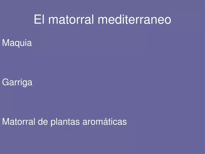 el matorral mediterraneo