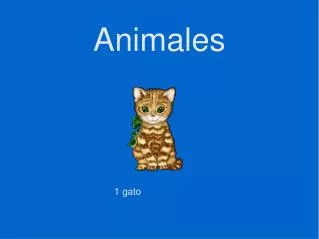 animales