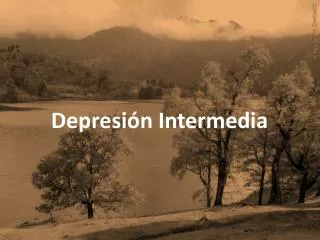 depresi n intermedia