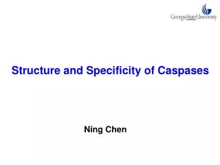 Structure and Specificity of Caspases