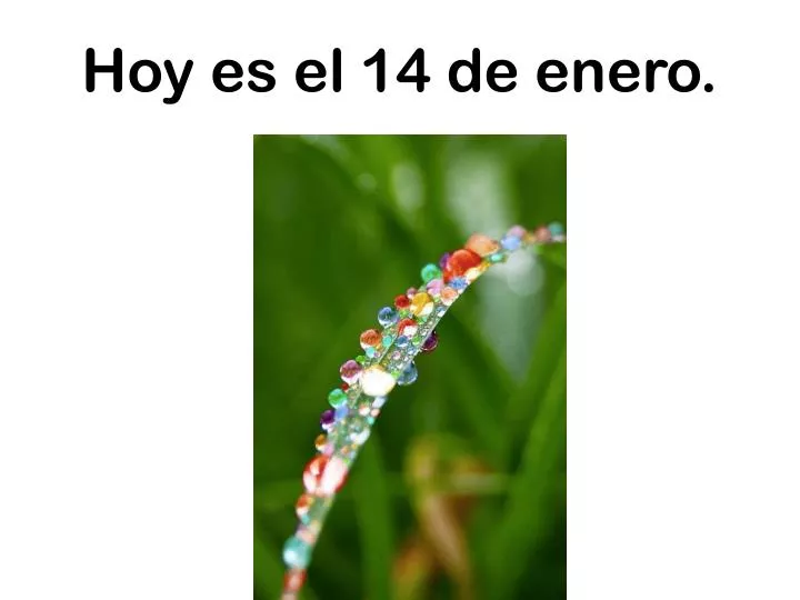 hoy es el 14 de enero