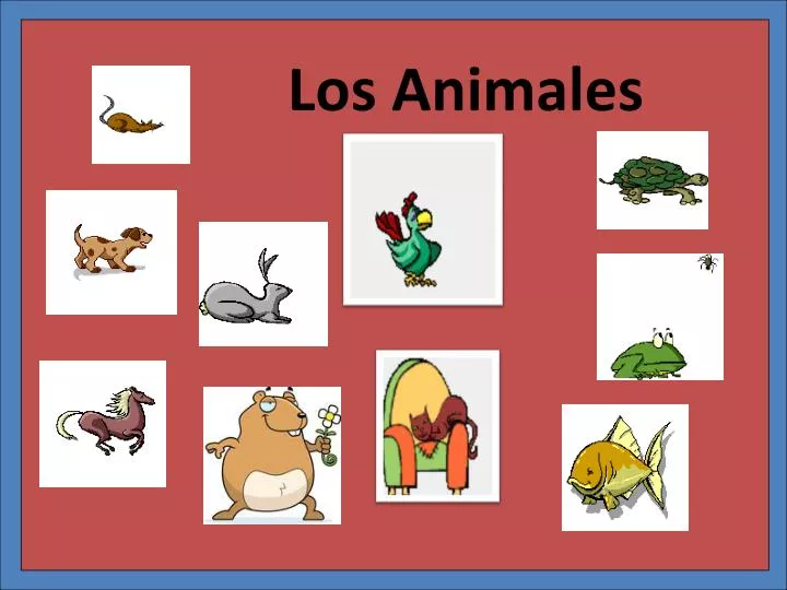 los animales