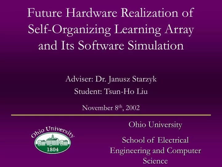 future hardware realization of self organizing learning array and its software simulation
