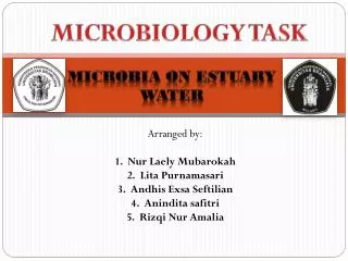 MICROBIOLOGY TASK