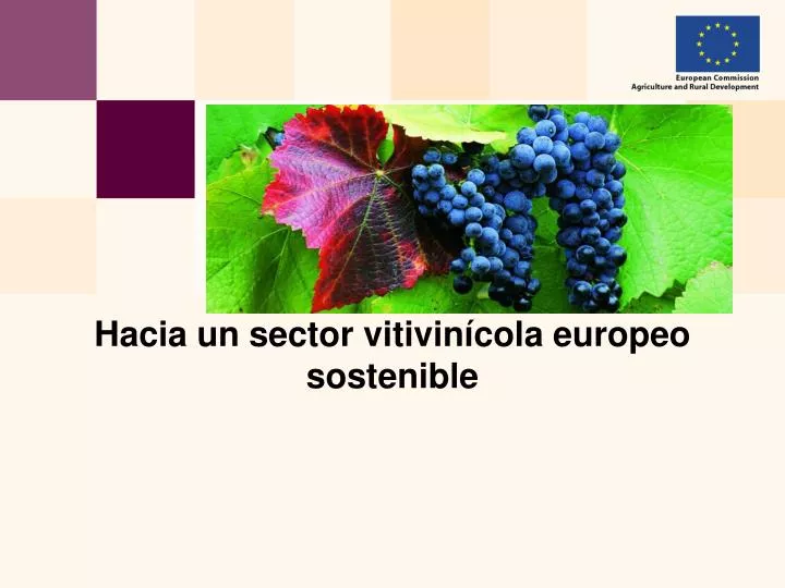 hacia un sector vitivin cola europeo sostenible