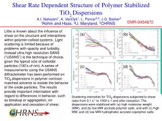 Shear Rate Dependent Structure of Polymer Stabilized TiO 2 Dispersions