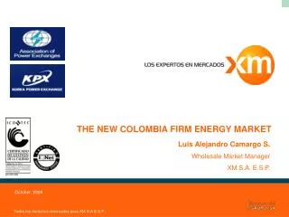 THE NEW COLOMBIA FIRM ENERGY MARKET