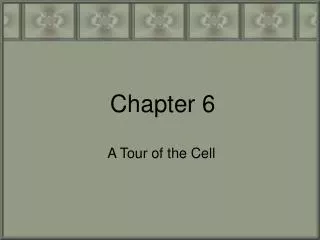 Chapter 6