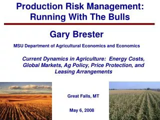 Production Risk Management: Running With The Bulls