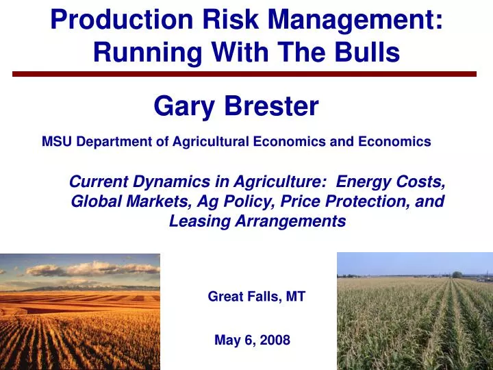 production risk management running with the bulls