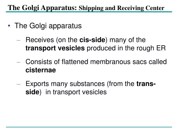 the golgi apparatus shipping and receiving center