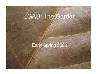 EGAD: The Garden