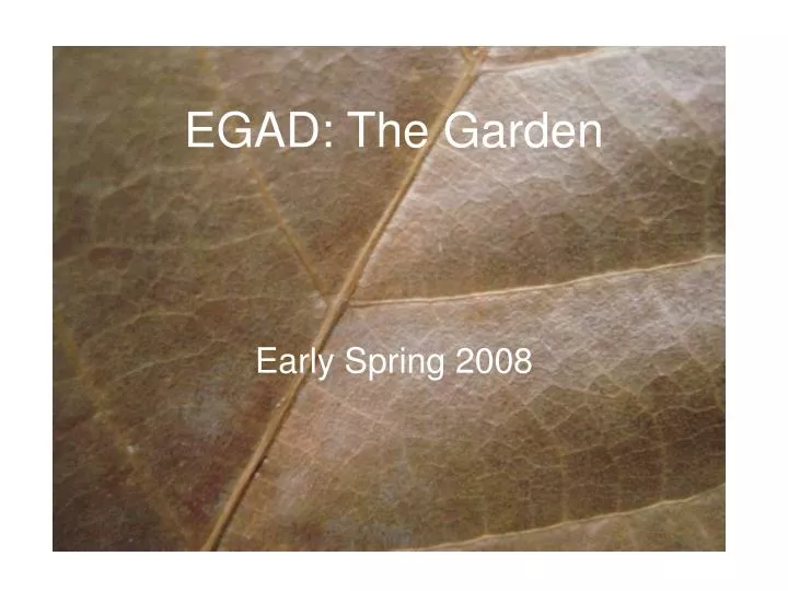 egad the garden