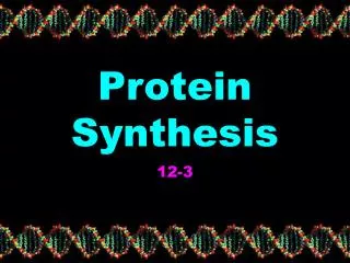 protein synthesis